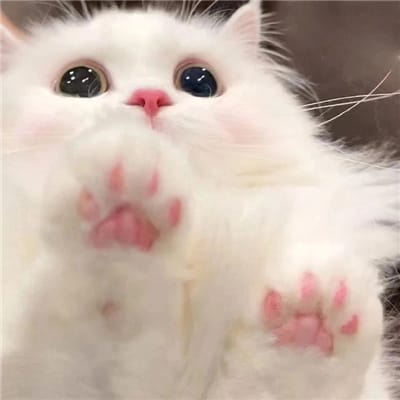 เจฟ ซาเตอร์ avatar